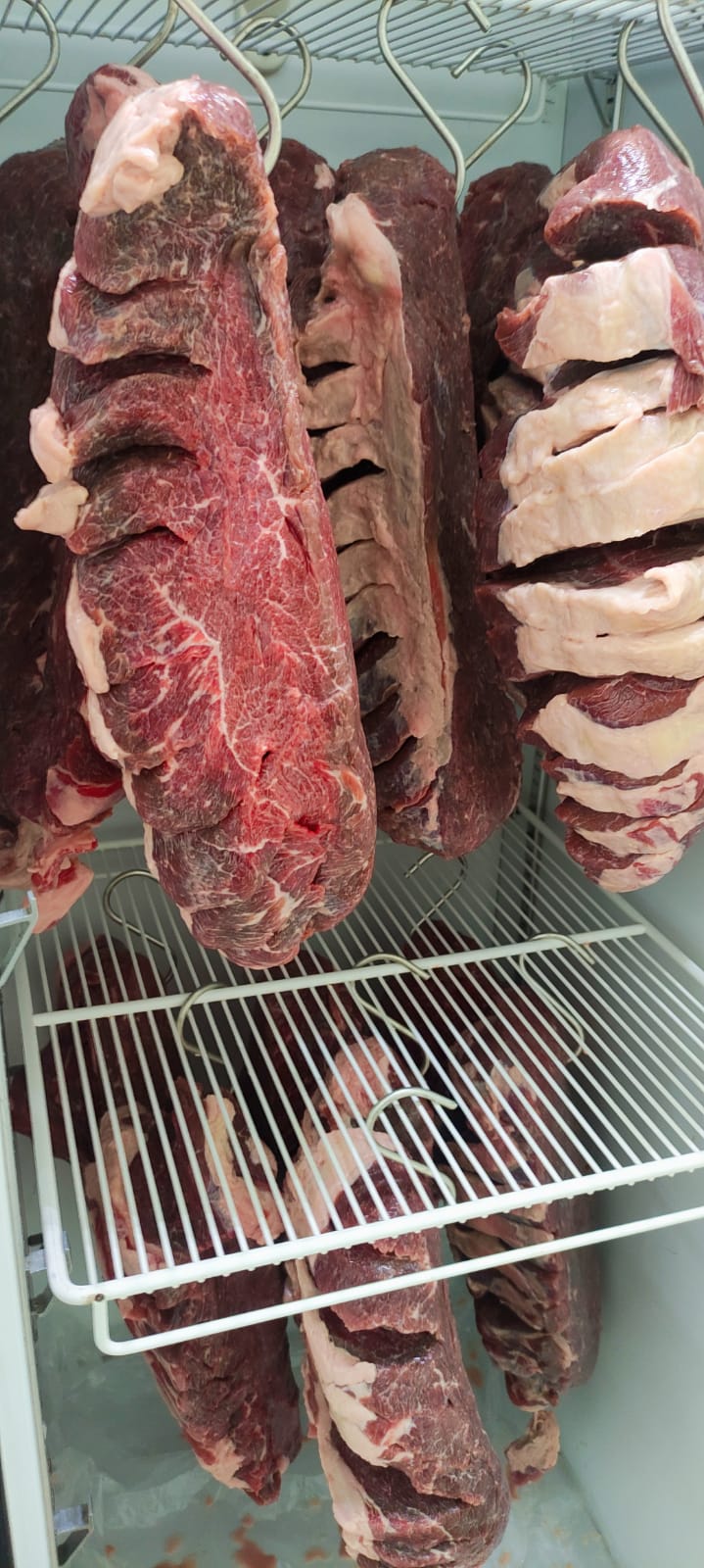Câmara de cura Pancetta
